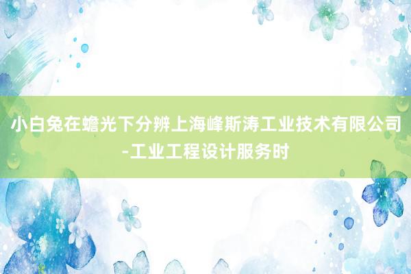 小白兔在蟾光下分辨上海峰斯涛工业技术有限公司-工业工程设计服务时