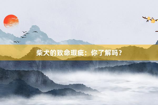 柴犬的致命瑕疵:你了解吗?