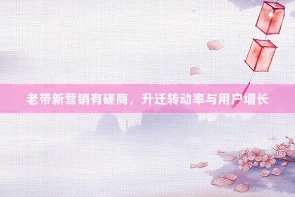 老带新营销有磋商，升迁转动率与用户增长